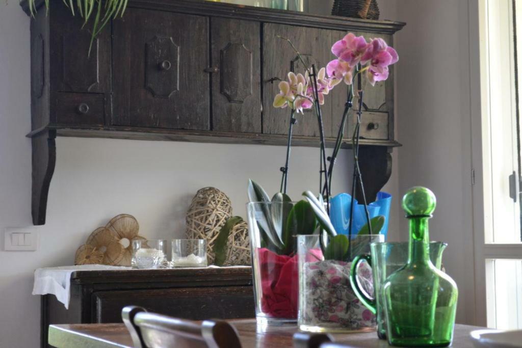 Il Giardino B&B Castelvetro di Modena Exteriér fotografie