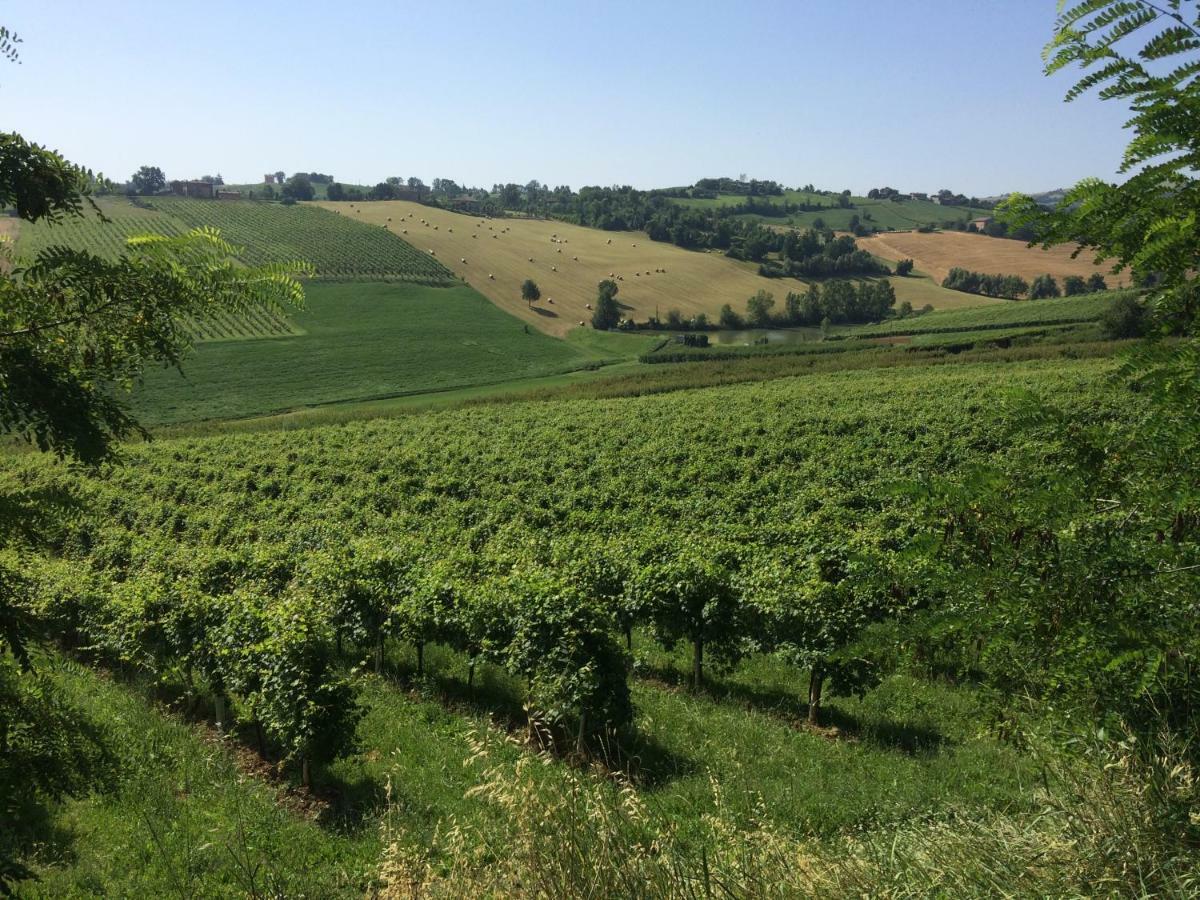 Il Giardino B&B Castelvetro di Modena Exteriér fotografie