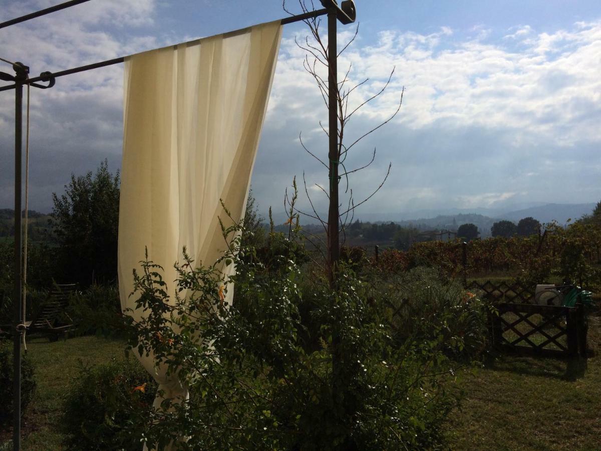 Il Giardino B&B Castelvetro di Modena Exteriér fotografie