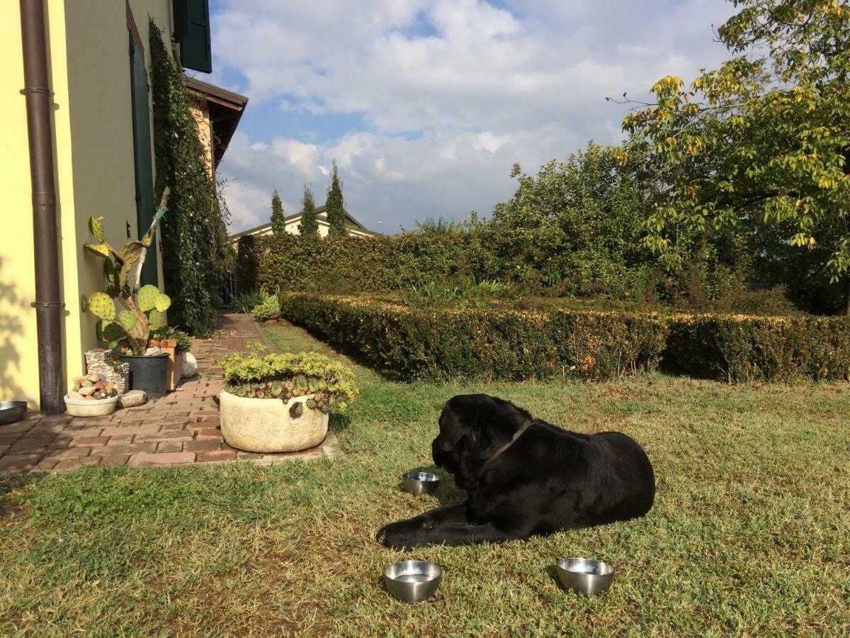 Il Giardino B&B Castelvetro di Modena Exteriér fotografie