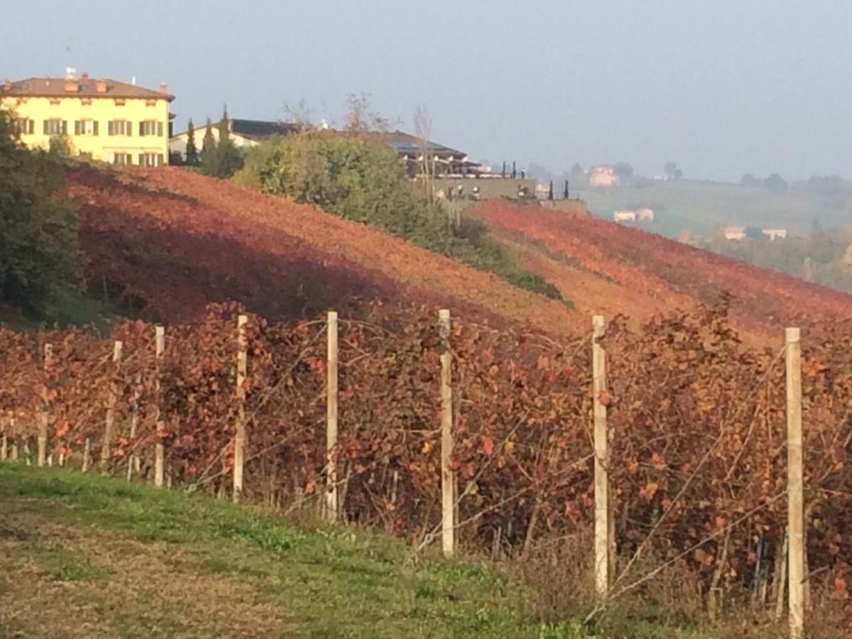 Il Giardino B&B Castelvetro di Modena Exteriér fotografie