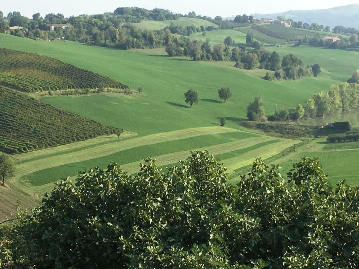 Il Giardino B&B Castelvetro di Modena Exteriér fotografie